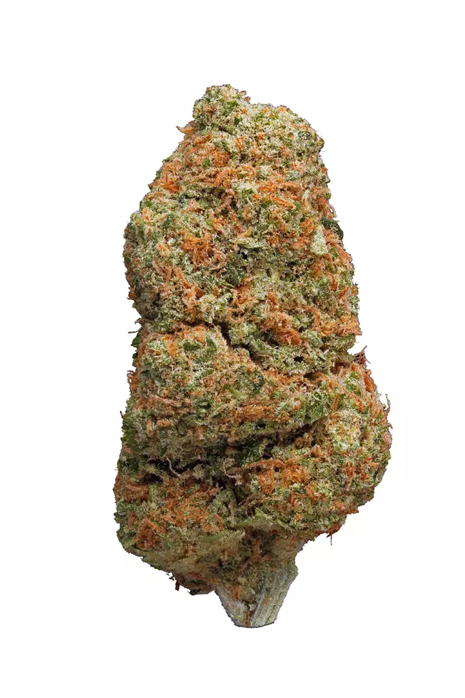 Northern light