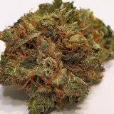 Trainwreck