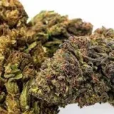 Chemdawg Kush